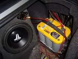 trunk.webp