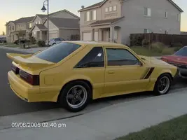 yellowstang.webp
