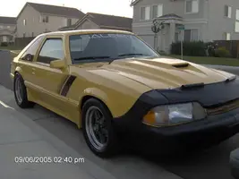 yellowstang2.webp