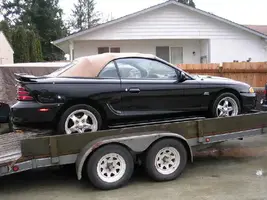 95 stang vert.webp