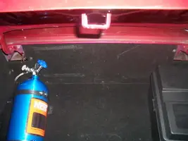 trunk.webp