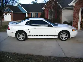 stang1.webp