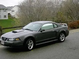 296247074_l.webp