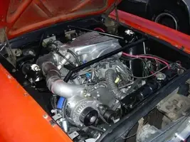 mustang_1-24-06small.webp