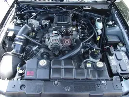 02 saleen vert 005.webp