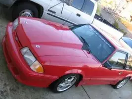 mustang1.webp