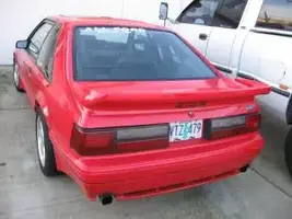 mustang2.webp