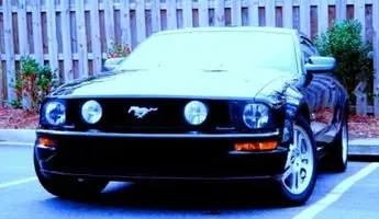 black mustang 004.webp