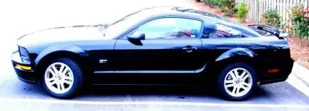 black mustang 007.webp
