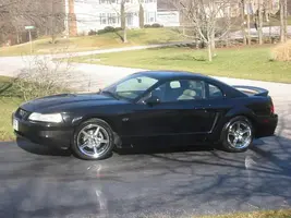stang_forumpic.webp