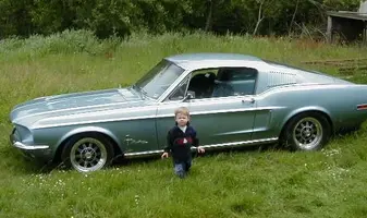chaseandstang.webp
