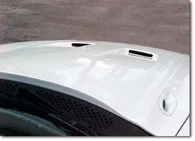 mustang98SaleenHood1.webp