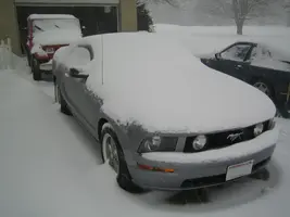 mustang_snow.webp