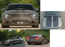 efoose_front.webp