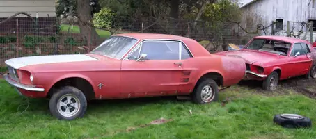 Car2 1st day home small.webp