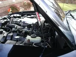 hood strut web.webp