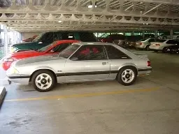 mustang12.webp