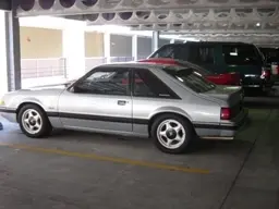 mustang15.webp