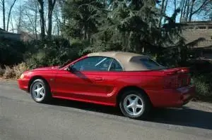 mustang2.webp