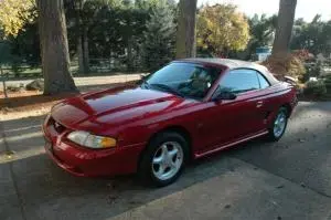 mustang.webp