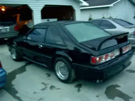 black stallion 003.webp