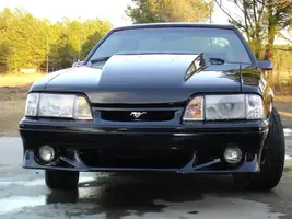 mustang4 002 (2).webp