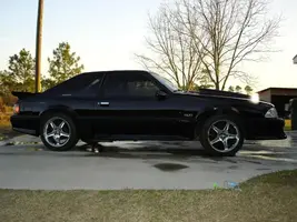 mustang4 003 (2).webp