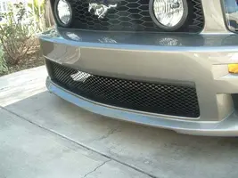 DSCF0003.webp
