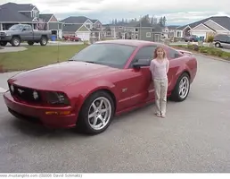 115561[1].webp
