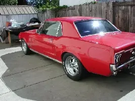Mustang.webp