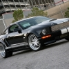 thumbs_shelby-wide-body-4.jpg thumbs_shelby-wide-body-4.jpg
