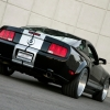 thumbs_shelby-wide-body-1.jpg thumbs_shelby-wide-body-1.jpg