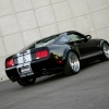 thumbs_shelby-wide-body-2.jpg thumbs_shelby-wide-body-2.jpg