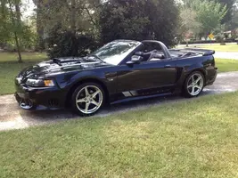IMG_0072_zps25737e51.webp