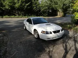 car002.webp