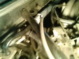 CAM00055_zps0db4526d.webp