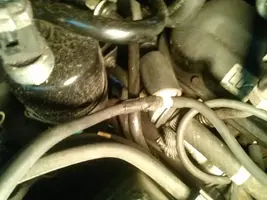CAM00053_zps7b396b78.webp