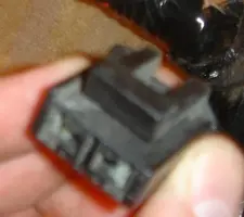Black1.webp