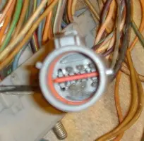 Gray1prongs.webp