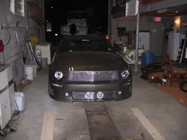 Mustang 010.webp