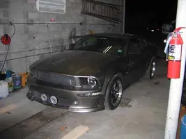 Mustang 011.webp