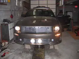 Mustang 006.webp