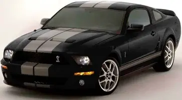 Black - Mineral Gray.webp
