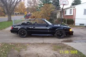 blackwidow.webp