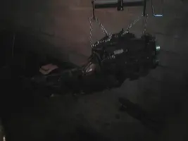 engine and tranny.webp