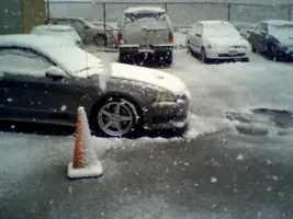 mustsnow2.webp