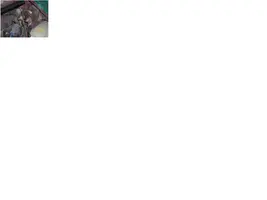 angled close.webp