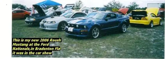 mustang car show.webp