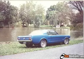 rims.webp
