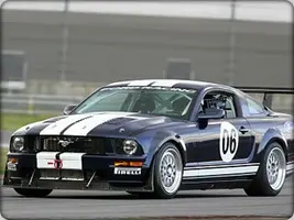 Race Mustang.webp